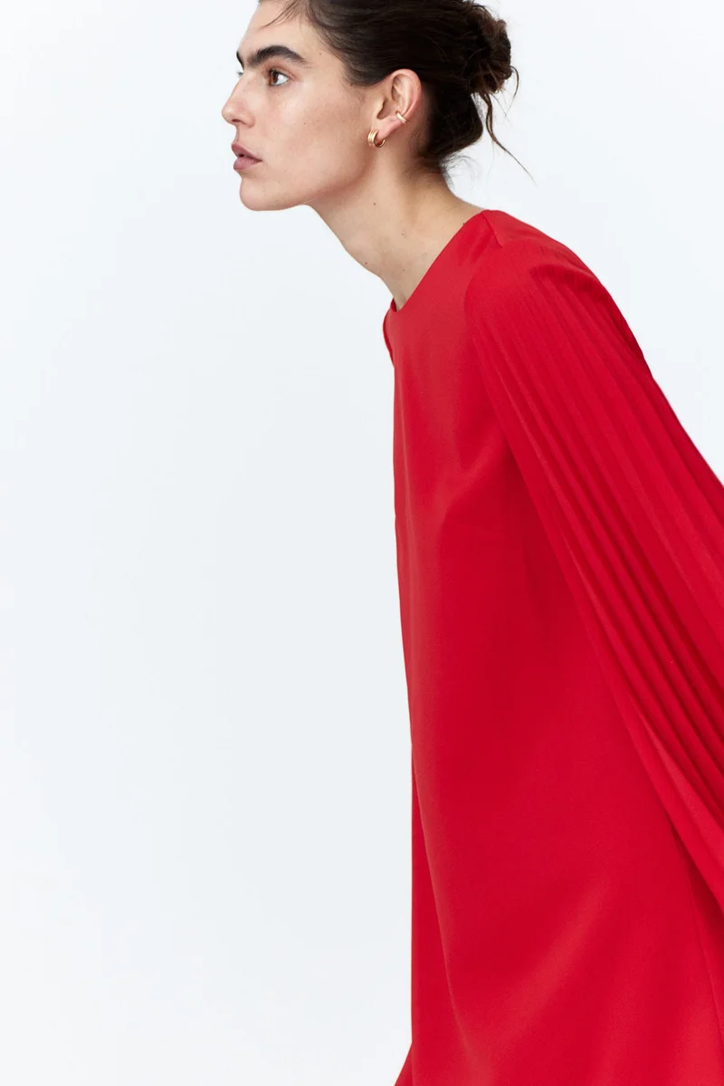H&M Pleat-Sleeved Dress