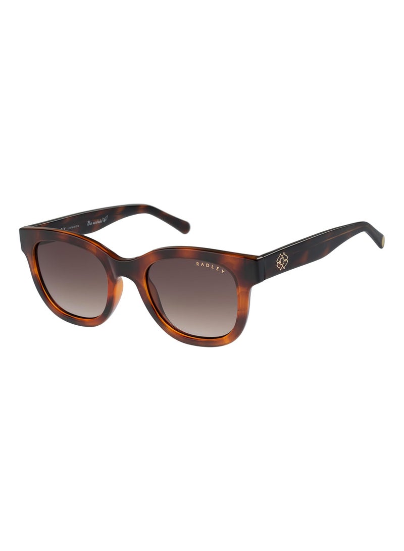 Radley نظارات شمسية نسائية مستديرة قطبية RDS-6525 بني 49 مم - Image 1