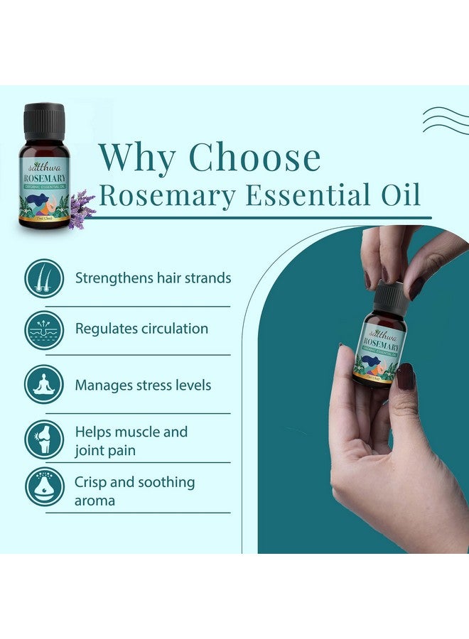 Satthwa Organic Rosemary Essential Oil - Therapeutic Grade - 15Ml - Boosts Energy, Enhances Hair Health - Image 2