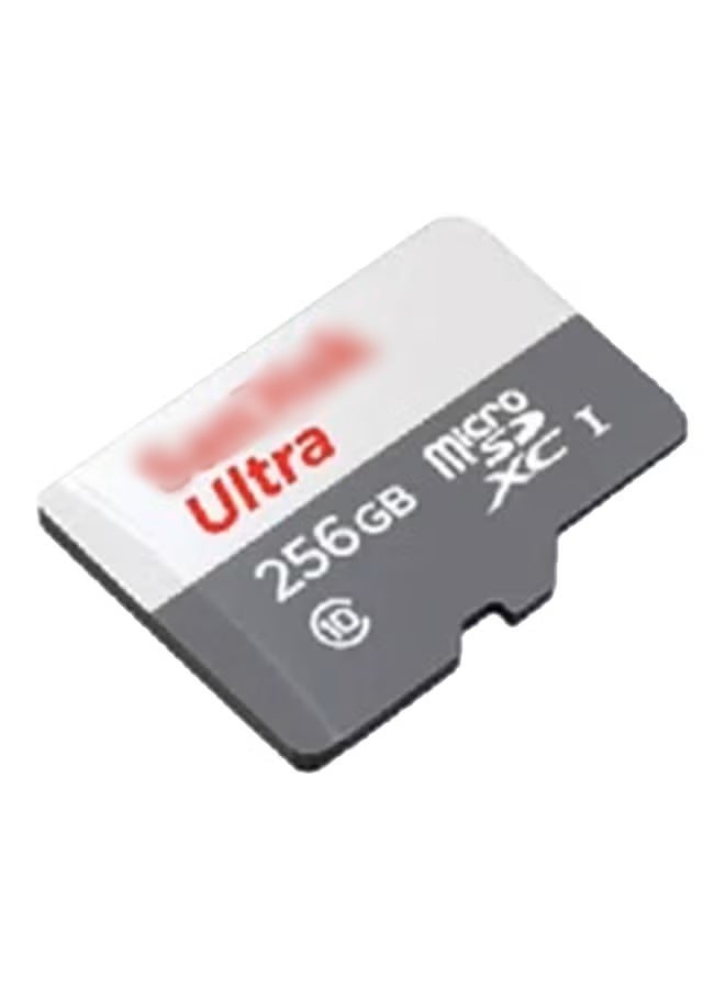 256GB Ultra Microsdxc UHS 1, Read Speed- 100Mb/S,Class 10 rating, Grey,-Sdsqunr-256G-Gn3Mn - Image 1
