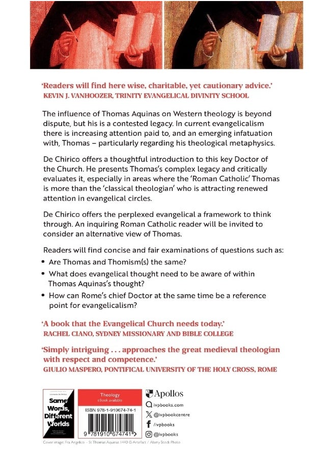 Engaging with Thomas Aquinas: An Evangelical Approach  - Image 2