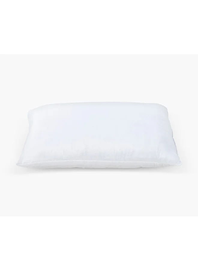 2XL Home Cushion 35X50Cm 500G