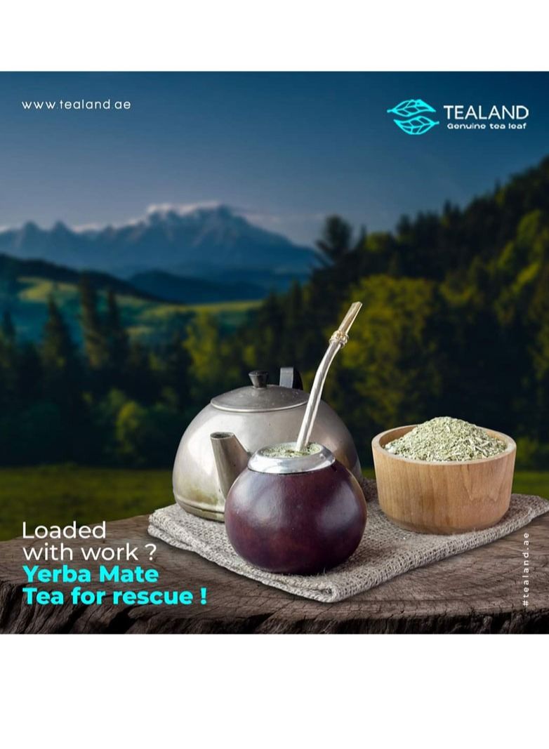 تيلاند مصاصة شرب من الستانلس ستيل 17 سم - Image 5