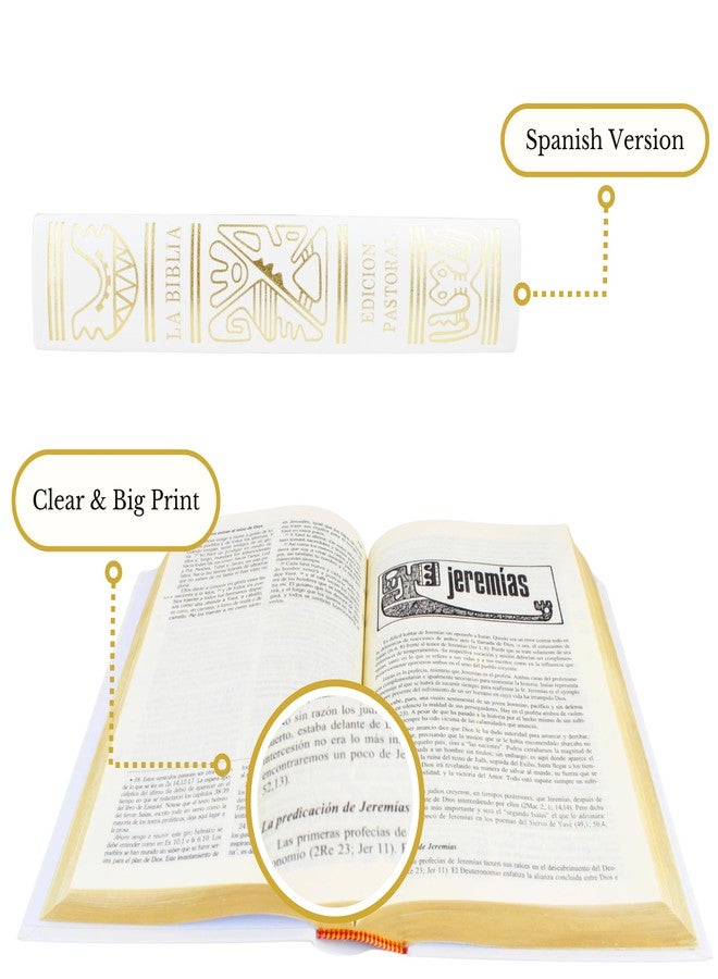 Nuestra Fe la Biblia latinoamericana letra grande - Biblia latinoamericana catolica - Biblia catolica en español letra grande - biblia en español letra grande - bible in spanish biblia catolica latinoamericana - Image 4