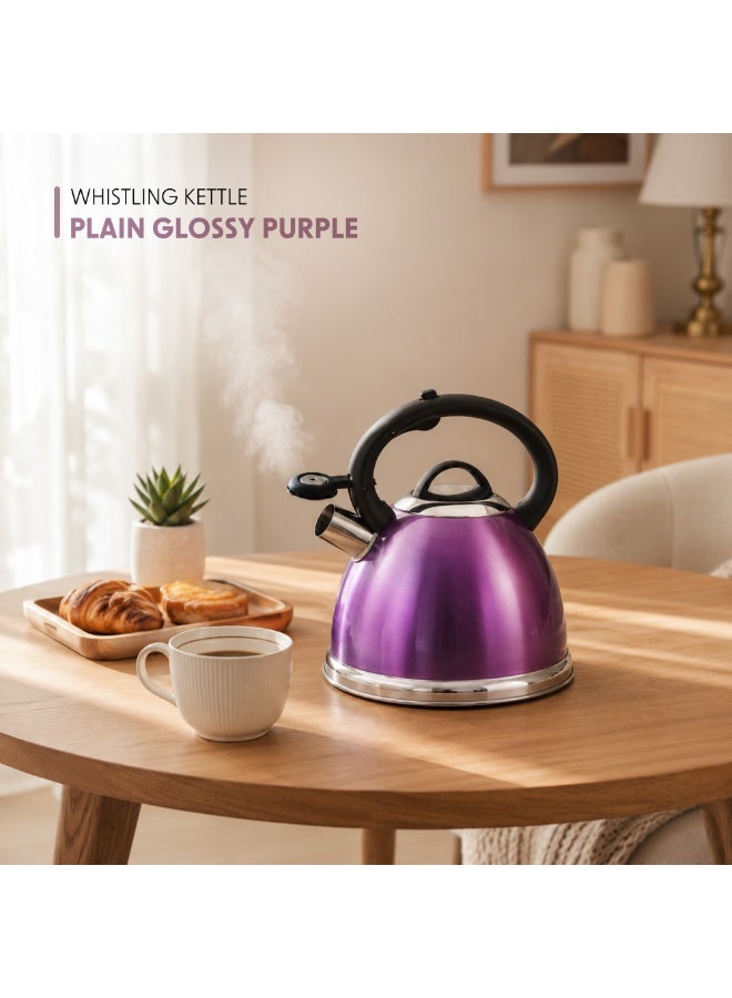 HausRoland Haus Roland 3L Purple Whistling Kettle – Stainless Steel Tea Kettle with Ergonomic Handle, Nylon Knob Lid, Whistling Teapot for Induction Gas Electric Stovetops, Glossy Purple Finish - Image 2