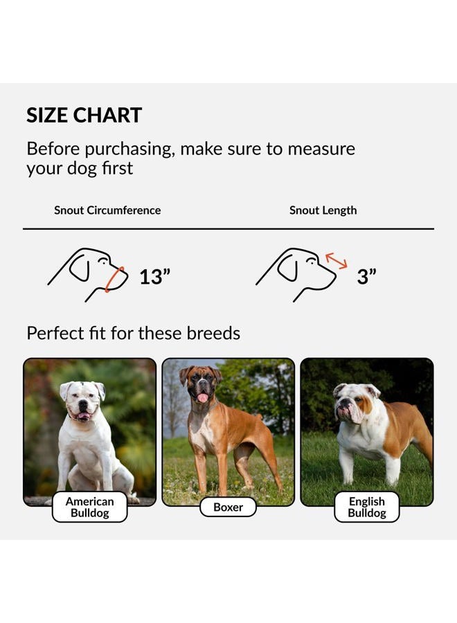CollarDirect Leather Basket Dog Muzzle for Boxer, English American Bulldog Secure Anti-Barking Biting Chewing Adjustable Breathable (Brown) - Image 2