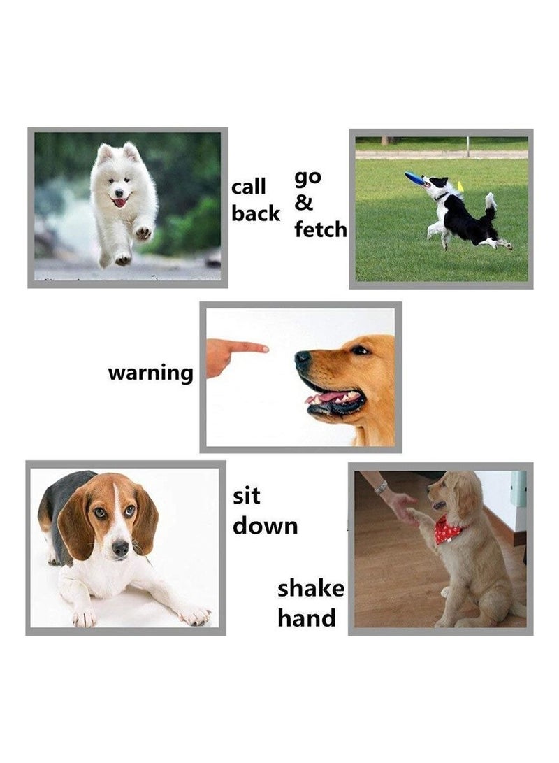 SYOSI صفارة الكلاب، عبوة من 3 صفارات احترافية للكلاب لإيقاف النباح، تدريب على الاستدعاء، صفارات صامتة بالموجات فوق الصوتية لتدريب الكلاب على إيقاف النباح، أجهزة تحكم للكلاب المجاورة، مع حبل أسود - Image 2