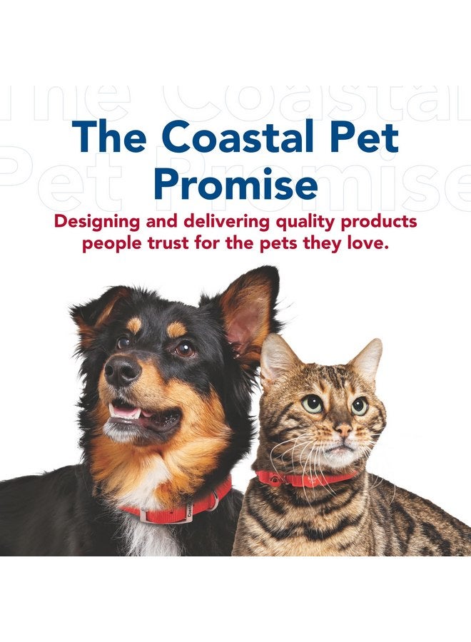 كوستال Coastal - Styles Dog Leash - Vibrant and Trendy Dog Leash - Black Skulls Print - 5/8” x 6' - Image 2