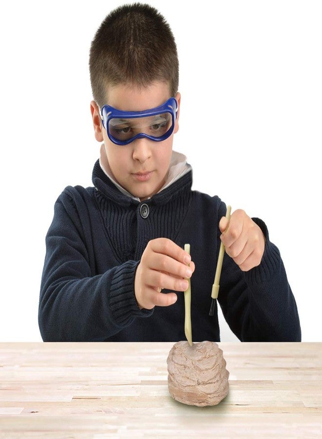 ArtCreativity 2 inch Meteorite Dig Kit, Meteorite Excavation Set with 2 Digging Tools, Fun Science Activity Toy, Educational Gift for Boys and Girls, Teaches Motor Skills and Focus - Image 5