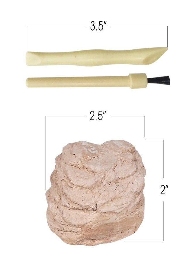ArtCreativity 2 inch Meteorite Dig Kit, Meteorite Excavation Set with 2 Digging Tools, Fun Science Activity Toy, Educational Gift for Boys and Girls, Teaches Motor Skills and Focus - Image 3