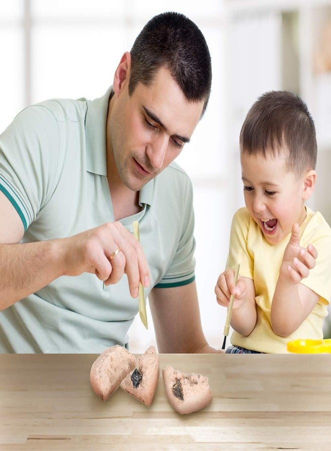 ArtCreativity 2 inch Meteorite Dig Kit, Meteorite Excavation Set with 2 Digging Tools, Fun Science Activity Toy, Educational Gift for Boys and Girls, Teaches Motor Skills and Focus - Image 4