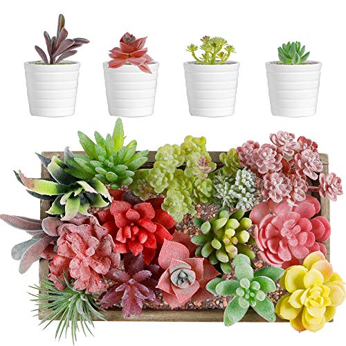 HASTHIP® 16 Pcs Artificial Succulent Plants, Different Kinds Assorted Faux Succulent Plants, Flowers Home Decor Plant, Artificial Hanging Plants String of Pearls Plant for Wedding Floral Home Decor - Image 3