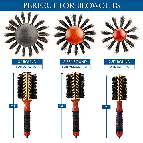 Cantor Small Round Blow Dry Brush - Boar Bristle, Thermal Metal Barrel, Professional Anti-Static Roller Hair Brush for Styling and Blow Drying - Bonus Sectioning Pick - 12 Row, 2.5” - By Cantor - Image 2