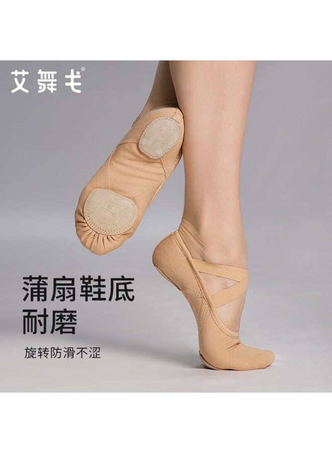Aiwu Ge Cloud Ballet Dance Shoes Adult Professional Soft Sole Practice And Grading Shoes 813 Light Pink Size 42