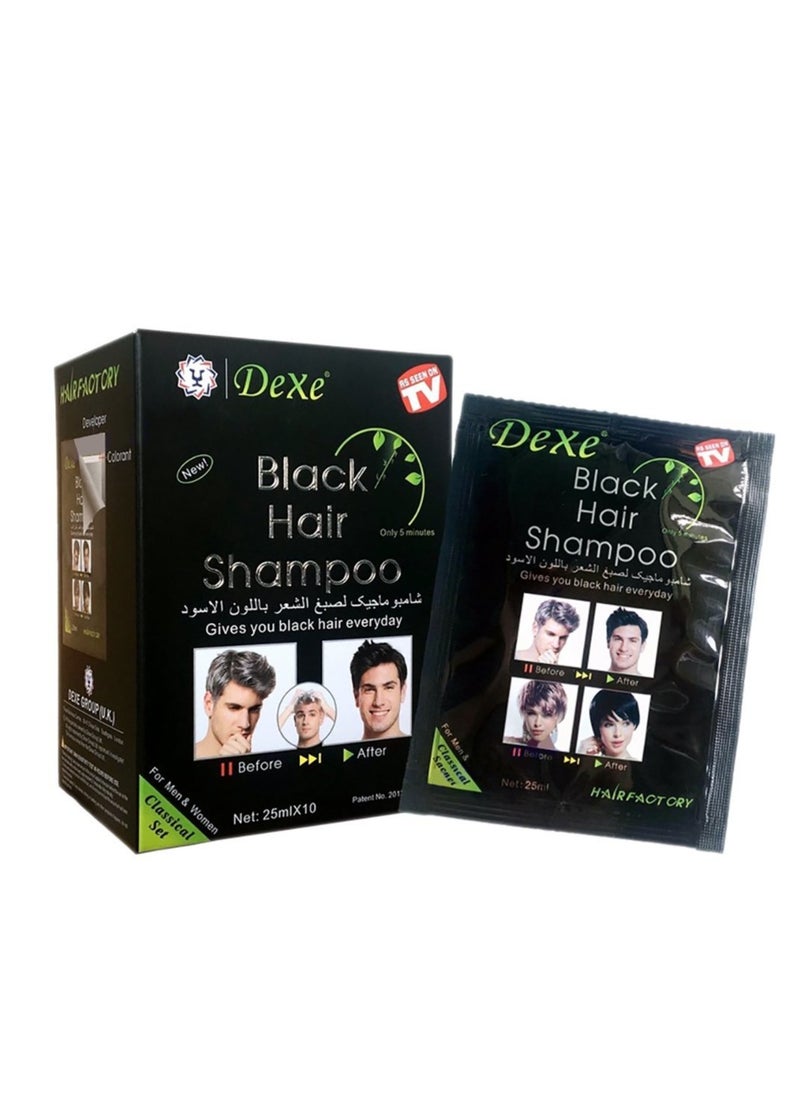 Hair Colouring Shampoo Black 10x25ml - pzsku/Z8245FA9AB44464442E70Z/45/_/1696486717/9ad646fa-101c-4793-84a0-20a24cdafadd