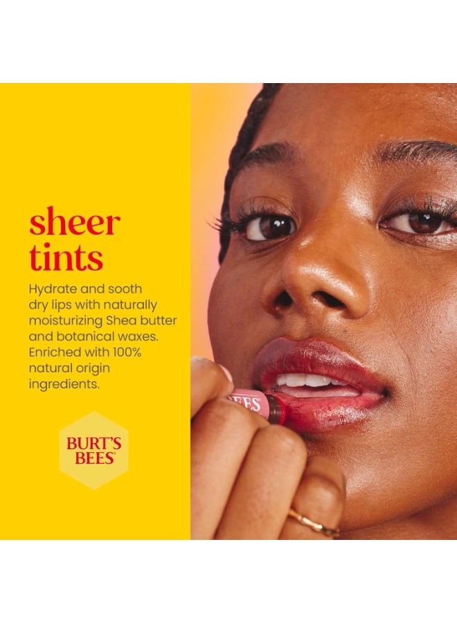 Burt's Bees Lip Balm, Crème Finish, 0.15Oz - Rose - Image 4