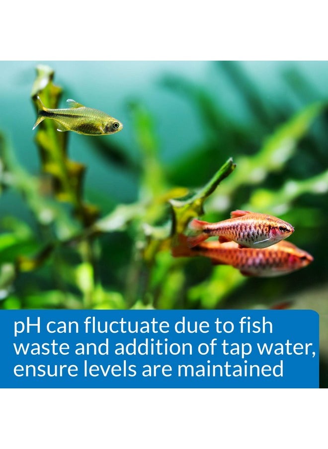 API API PH TEST KIT 250-Test Freshwater Aquarium Water pH Test Kit, 4 Piece Set  - Image 4