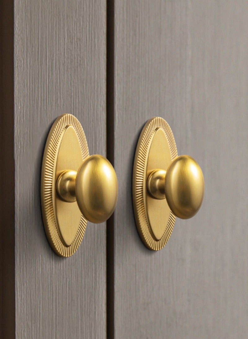 Goo-Ki مجموعة مقابض خزانة Goo-Ki من 6 مقابض بيضاوية ذهبية مصقولة مع ألواح خلفية مربعة ومسامير متضمنة - خزانة ملابس / خزانة حديثة - هيكل متين من سبائك الزنك - Image 1