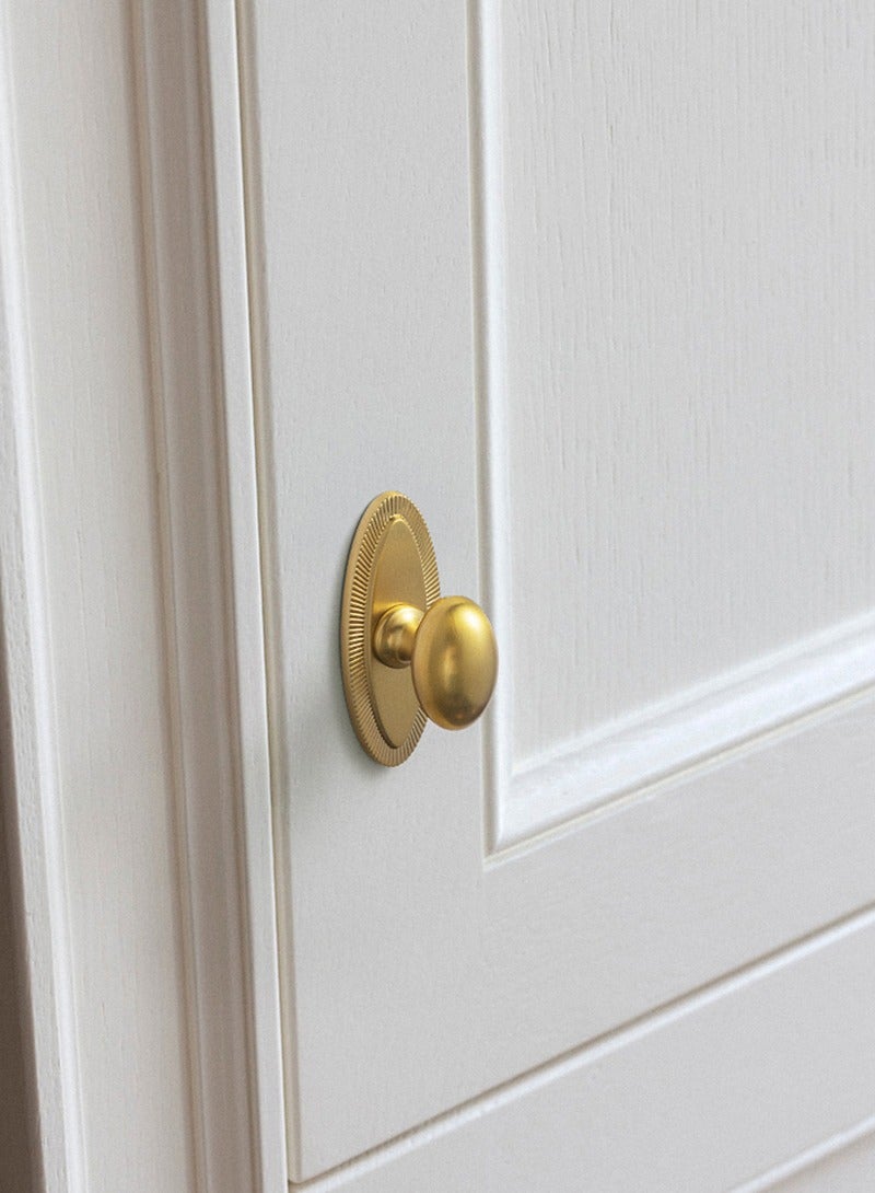 Goo-Ki مجموعة مقابض خزانة Goo-Ki من 6 مقابض بيضاوية ذهبية مصقولة مع ألواح خلفية مربعة ومسامير متضمنة - خزانة ملابس / خزانة حديثة - هيكل متين من سبائك الزنك - Image 3