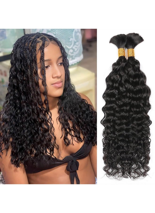 ShowCoco Human Braiding Hair 14Inch Water Wave Bulk Human Hair For Braiding 100G 2Bundlepack No Weft Human Hair Bundles For Braiding Micro Human Braiding Hair For Boho Braids(14Inchnatural Black)  - Image 1