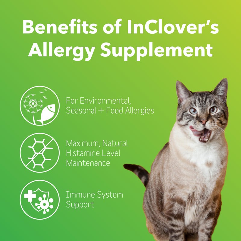 In Clover مكمل إنكلوفر الطبيعي لتخفيف حساسية الكلاب والقطط مع الكركم، المانغوستين، والبروتين - للحيوانات الأليفة التي تعاني من الحساسية الموسمية أو البيئية. يدعم المناعة ويحافظ على مستويات الهيستامين. - Image 2