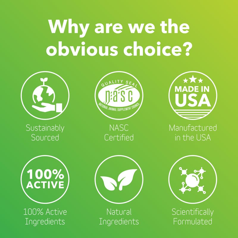 In Clover مكمل إنكلوفر الطبيعي لتخفيف حساسية الكلاب والقطط مع الكركم، المانغوستين، والبروتين - للحيوانات الأليفة التي تعاني من الحساسية الموسمية أو البيئية. يدعم المناعة ويحافظ على مستويات الهيستامين. - Image 4