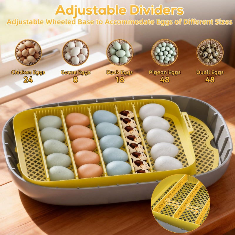 IBKINXX Incubator for Hatching Eggs-24 Egg Capacity, Automatic Egg Turner, Temperature & Humidity Control, 360Â° Viewing for Chicken, Duck and Quail Eggs - Image 4