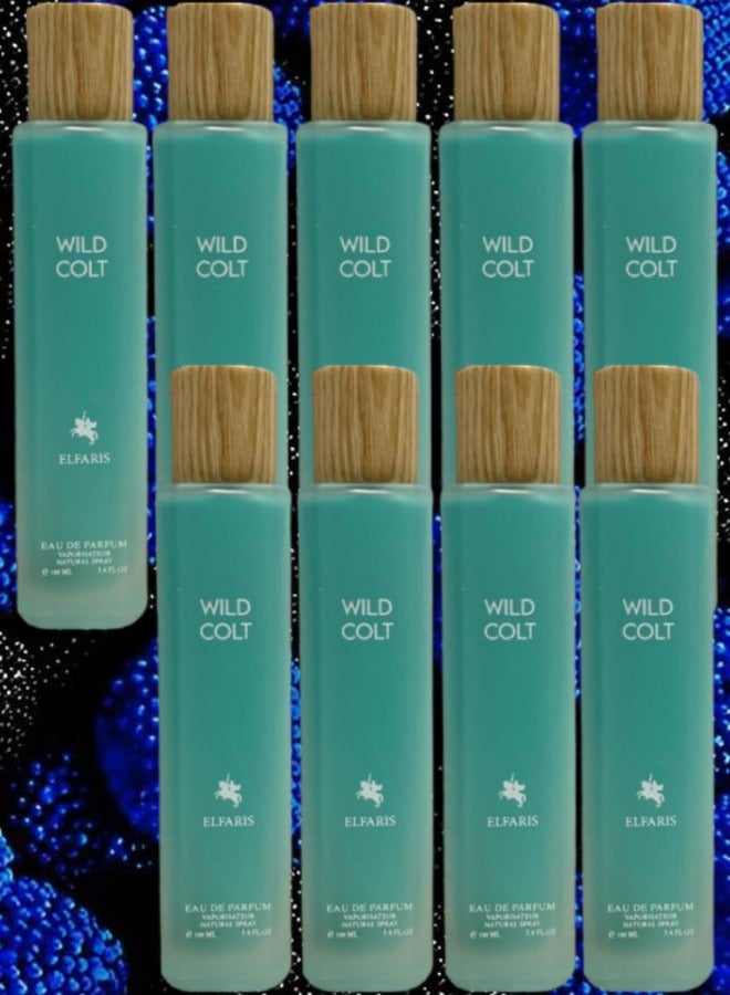 WILD 9 Pieces Wild Colt ElFaris EDP 100ML - Image 1
