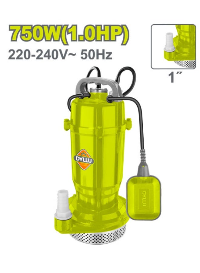 DYLLU 750W (1HP) Submersible Clean Water Pump with Float Switch, 1" Outlet