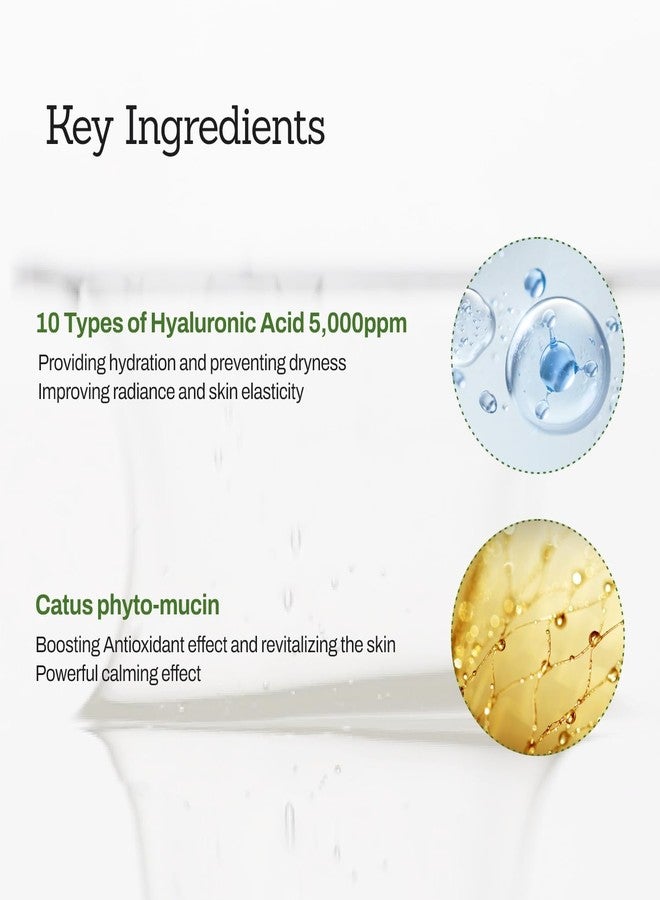 MEDITHERAPY Cactus Mucin Hyaluronic Serum - Korean Hyaluronic Acid Serum for Face - Hydrates 10 Layers Deep with Moisture-Locking Effect, Repairs Skin Barrier - Vegan Serum for Dry and Sensitive Skin, 1.01 fl.oz - Image 4