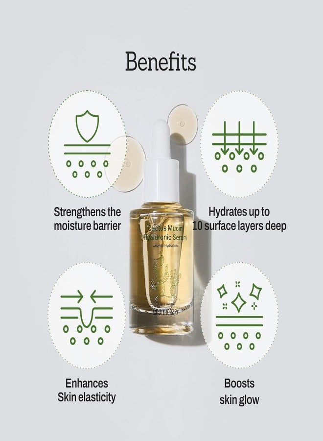 MEDITHERAPY Cactus Mucin Hyaluronic Serum - Korean Hyaluronic Acid Serum for Face - Hydrates 10 Layers Deep with Moisture-Locking Effect, Repairs Skin Barrier - Vegan Serum for Dry and Sensitive Skin, 1.01 fl.oz - Image 3