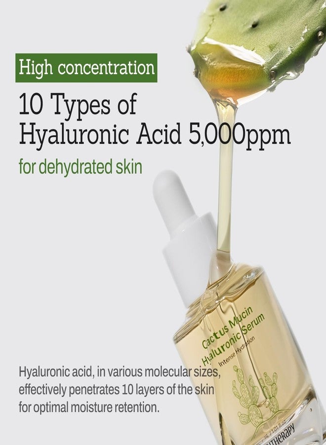 MEDITHERAPY Cactus Mucin Hyaluronic Serum - Korean Hyaluronic Acid Serum for Face - Hydrates 10 Layers Deep with Moisture-Locking Effect, Repairs Skin Barrier - Vegan Serum for Dry and Sensitive Skin, 1.01 fl.oz - Image 2