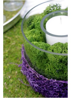 SuperMoss (21757) Reindeer Moss Preserved, Forest, 8oz (200 cubic inch)  - Image 2