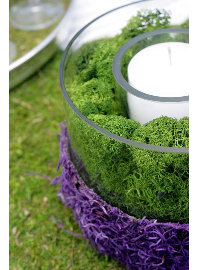 SuperMoss (21757) طحلب الرنّة المحفوظ، غابة، 8 أونصات (200 بوصة مكعبة) - Image 2