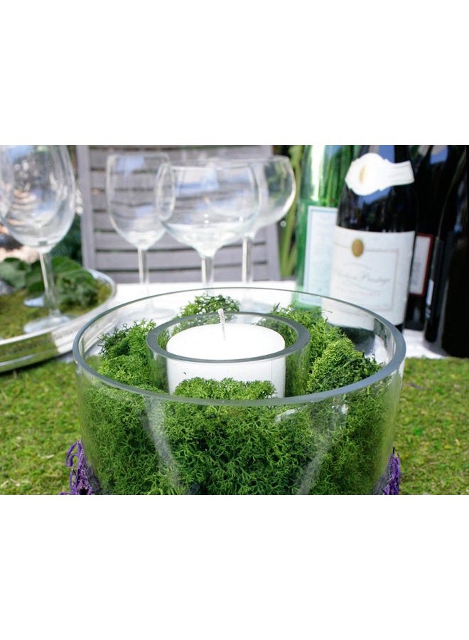 SuperMoss (21757) طحلب الرنّة المحفوظ، غابة، 8 أونصات (200 بوصة مكعبة) - Image 3