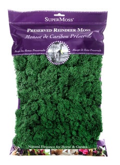 SuperMoss (21757) Reindeer Moss Preserved, Forest, 8oz (200 cubic inch)  - Image 1