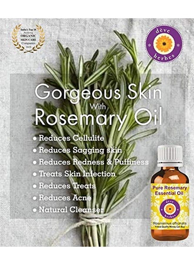 Deve Herbes Rosemary Essential Oil (Rosmarinus Officinalis) With Glass Dropper Steam Distilled 30Ml - Image 4