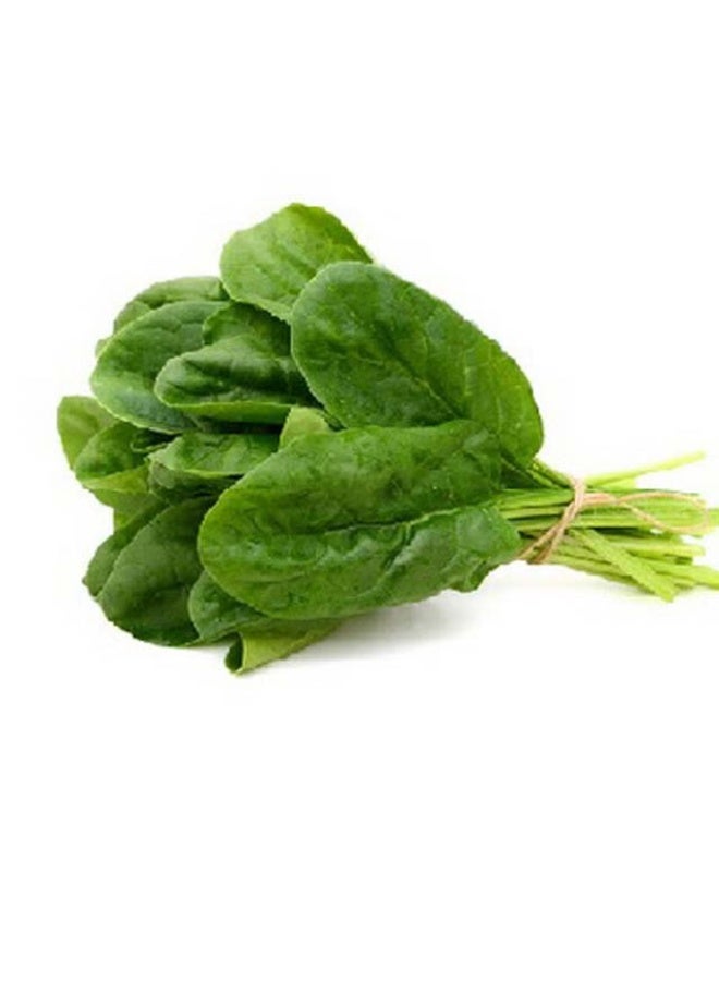 Spinach (Palak), 70g to 80g per bunch, UAE
