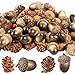 Unittype Unittype 300 Pieces Thanksgiving Natural Mini Pine Cone Artificial Acorn Pine Cone Ornament Simulation Lifelike Small  - Image 2