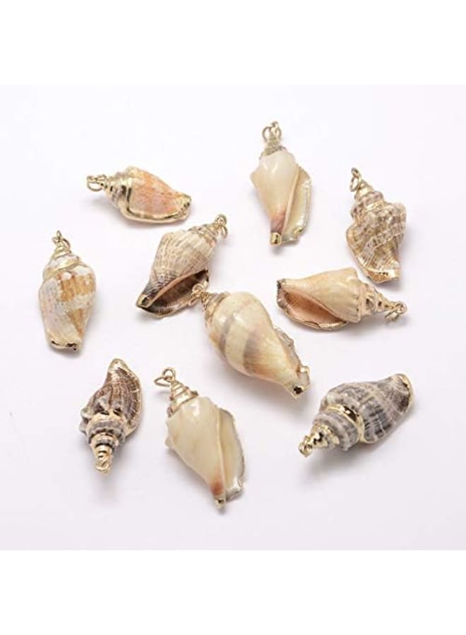 10Pcs Golden Electroplated Conch Shell Pendants Seashells Beach Sea Ocean Charms for Jewelry Making and Craft  - Image 3