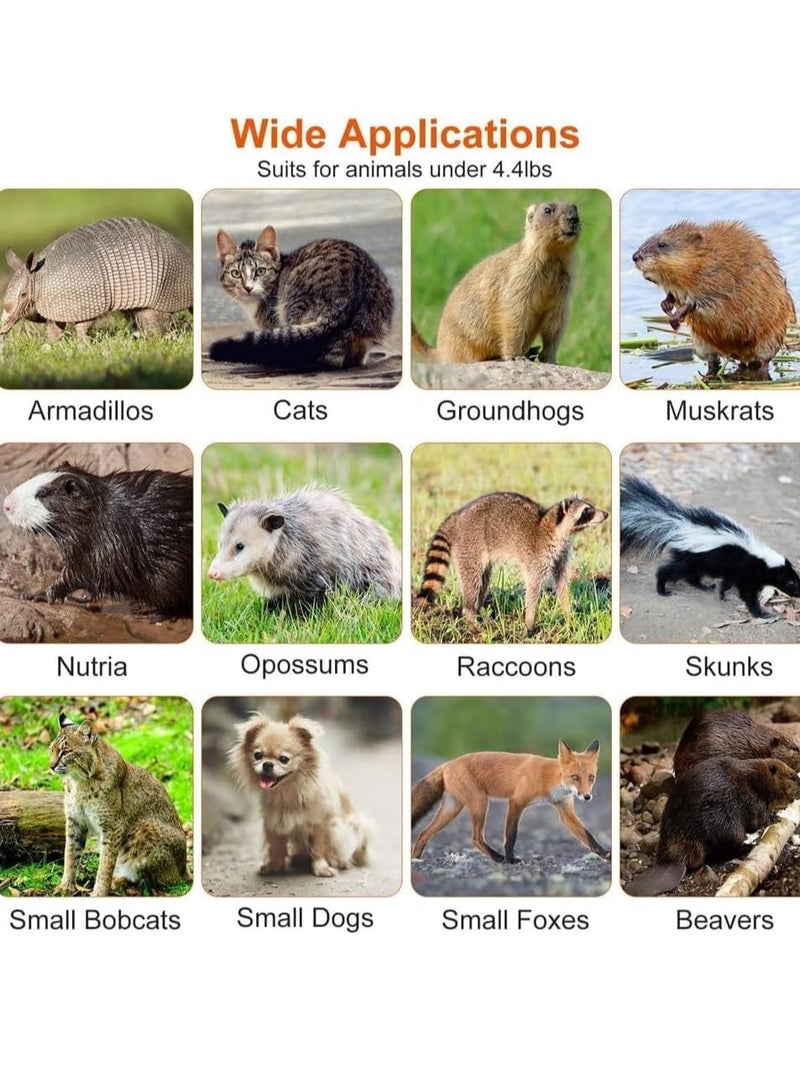 0TO1 TECH Humane Live Animal Trap, Live Animal Trap Cage for Squirrels Small Stray Cats Rabbits Groundhogs Moles Gophers and Chipmunks, Galvanized Rustproof,Steel Folding with Pedal Trigger(65 * 26 * 24cm) - Image 4