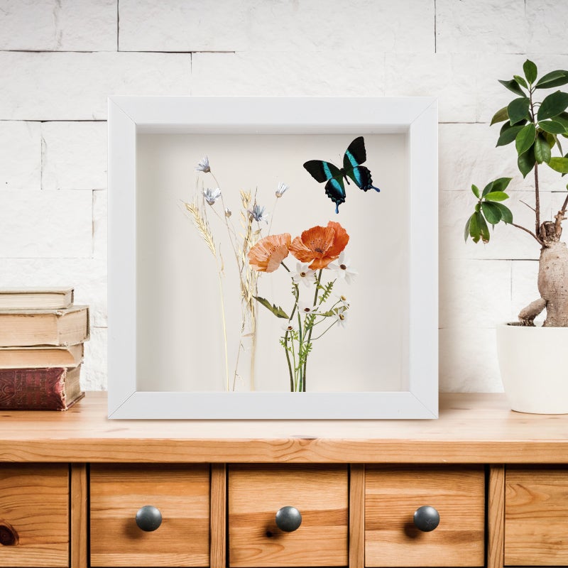 2Pcs Desktop Photo Frame Desktop Picture Frame Specimen Display Frame - Image 5