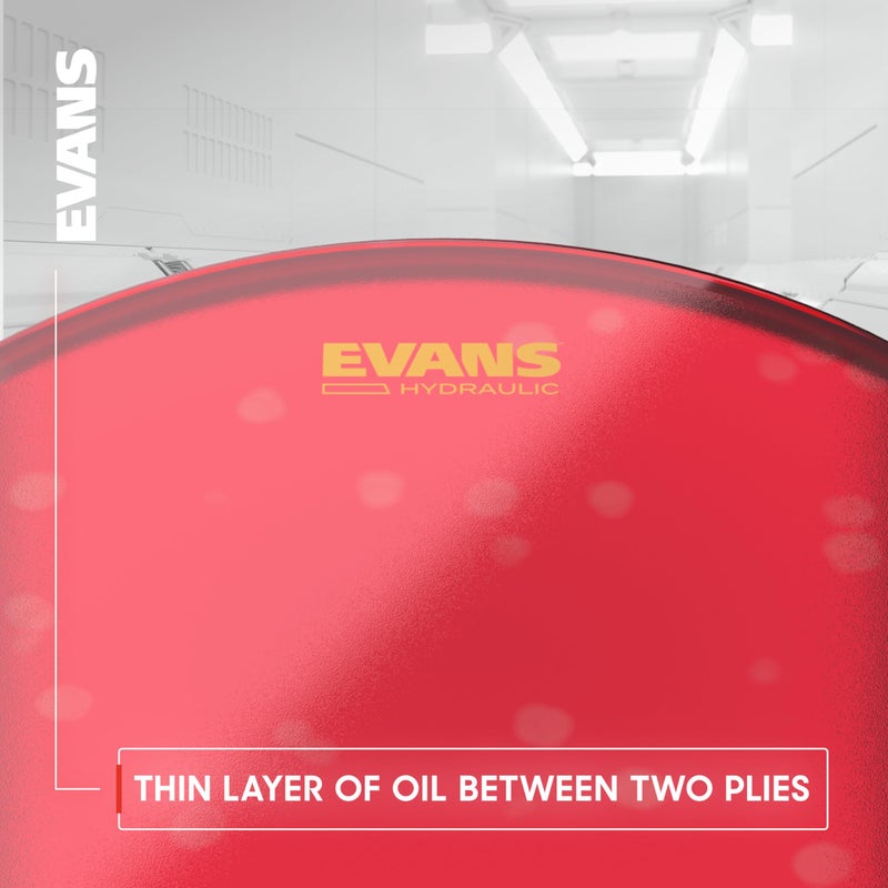 EVANS رؤوس الطبول إيفانز - رأس طبل زجاجي هيدروليكي، 12 بوصة - Image 4