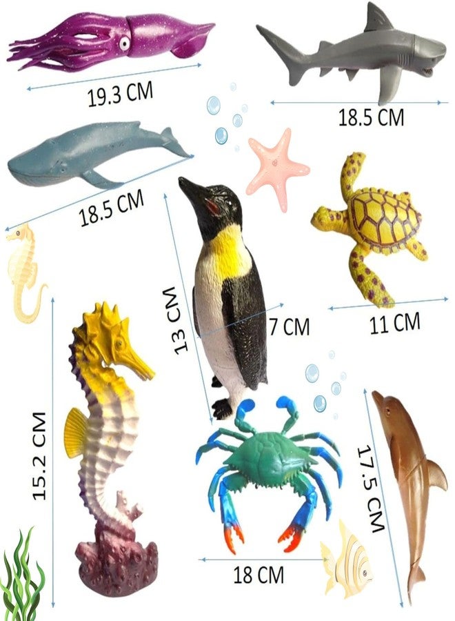 Mallexo Realistic Sea Animals Figures Toys for Kids 3+ Year Old 10PC Marine Fish Toy Playset Jungle Animal Figurine Big Size Turtle Jelly Fish Dolphin Water Ocean Sea Creatures Animals Birthday Gifts - Image 3