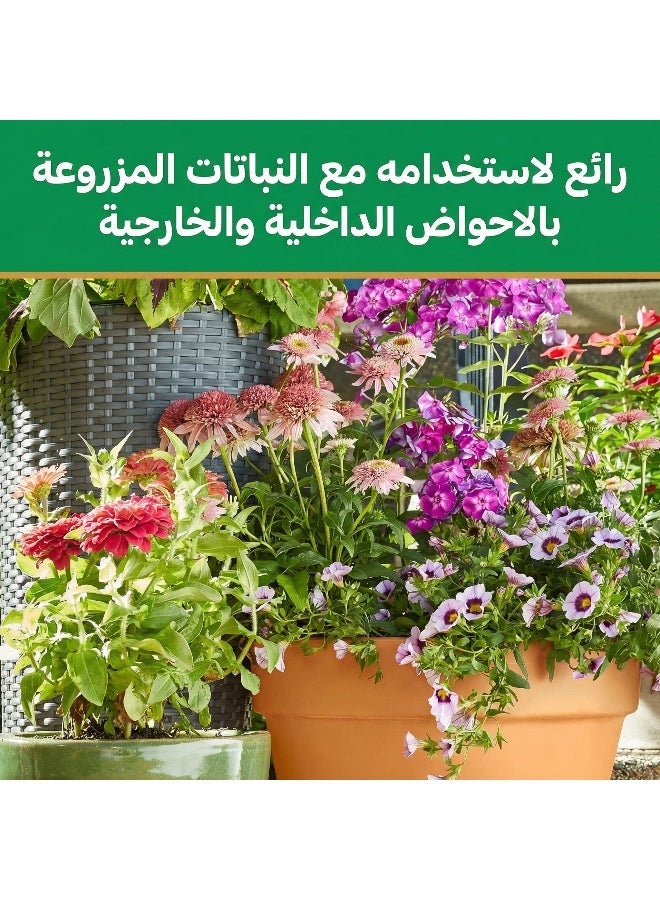 ليفرا محلول نمو النباتات المتطور (Advanced 500ml) - Image 5