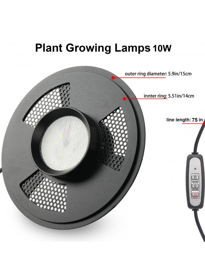 AREPK Desktop Glass Plant Terrarium with Grow Light (H:9.8" D:5.9"), for Succulent, Moss, Miniature Gardening Landscape, Betta Fish Tank, Indoor Plant Growth, Office Home Decoration, Plant Lovers Gifts - Image 3