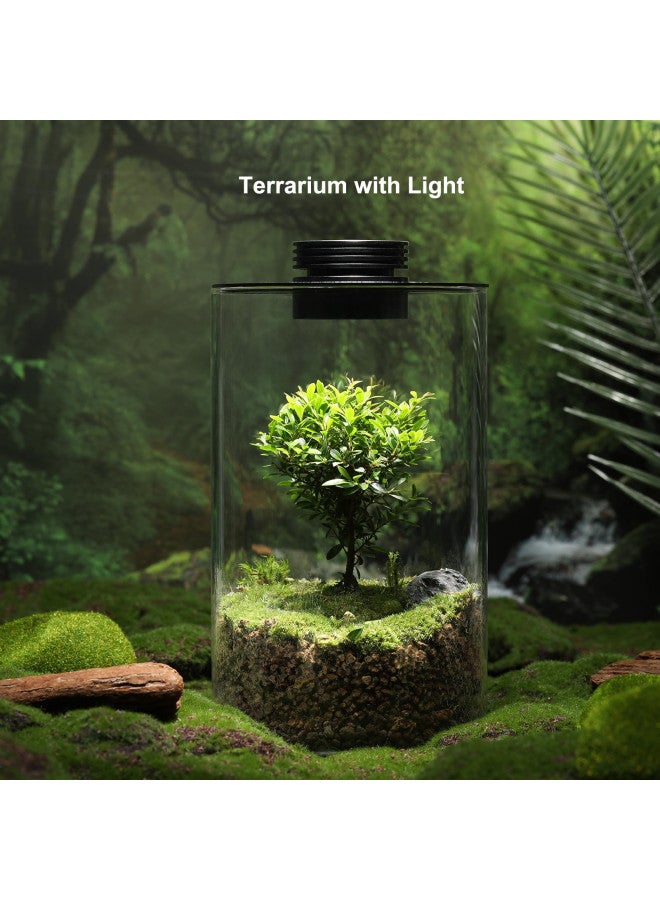 AREPK Desktop Glass Plant Terrarium with Grow Light (H:9.8" D:5.9"), for Succulent, Moss, Miniature Gardening Landscape, Betta Fish Tank, Indoor Plant Growth, Office Home Decoration, Plant Lovers Gifts - Image 1