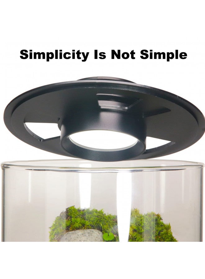 AREPK Desktop Glass Plant Terrarium with Grow Light (H:9.8" D:5.9"), for Succulent, Moss, Miniature Gardening Landscape, Betta Fish Tank, Indoor Plant Growth, Office Home Decoration, Plant Lovers Gifts - Image 2
