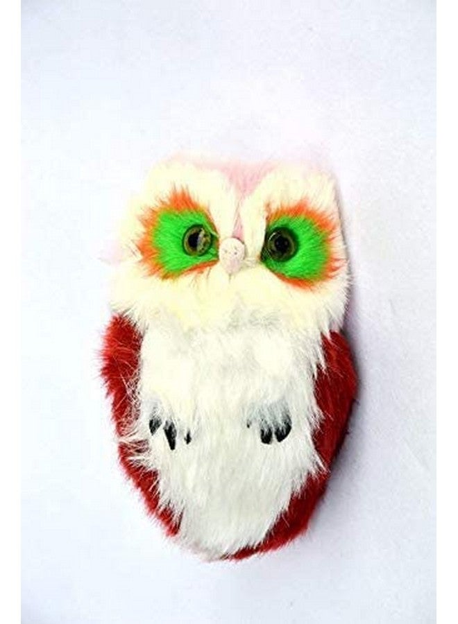 لعبة خدش وخدش على شكل بومة على شكل ضرس للقطط الأليفة مع ريش ملون (قد يختلف اللون) - Image 2