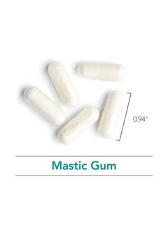 Mastic Gum - Authentic Chios Mastiha - GI Health, Metabolism - 60 Vegetarian Capsules